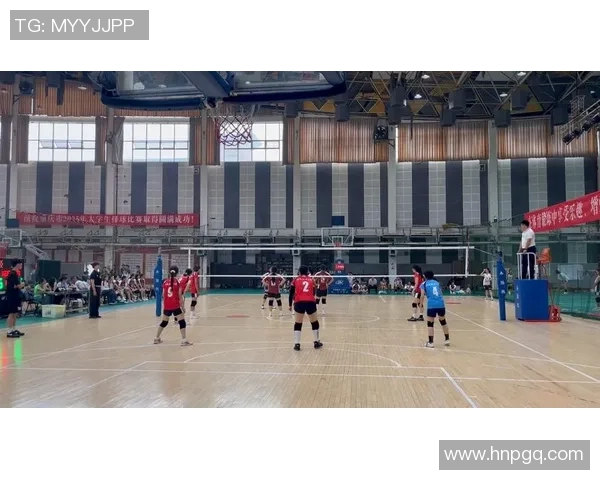 重庆排球队的灵活性探讨与发展策略分析