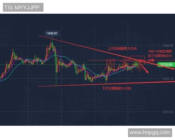 重庆乒乓球队战术解析与实战应用的深度探讨与展望 重庆乒乓球队战术解析与实战应用的深度探讨与展望