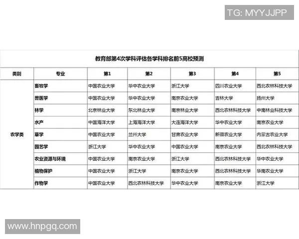 重庆排球队杯赛战术分析与表现评估探讨 重庆排球队杯赛战术分析与表现评估探讨