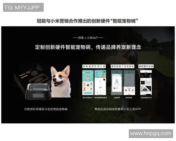 重庆足球队运营革新探索：从管理模式到市场营销的全方位升级之路