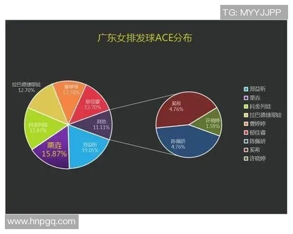 武汉排球队的独特节奏与战术解析深度探讨排球魅力与团队协作 武汉排球队的独特节奏与战术解析深度探讨排球魅力与团队协作