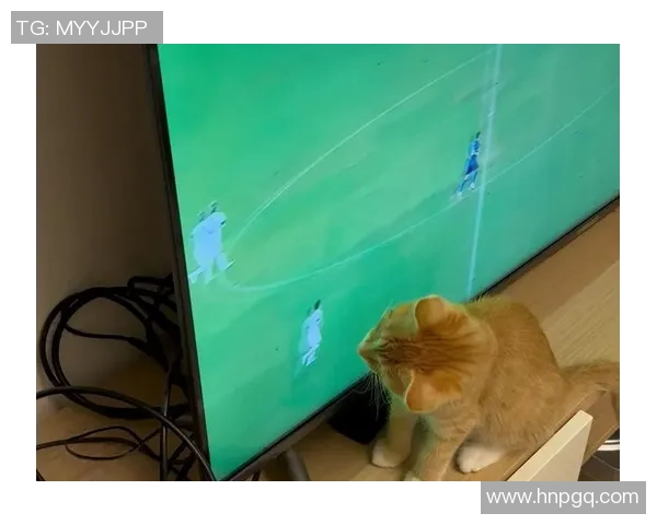 猫店里的足球明星与小猫的奇妙冒险之旅