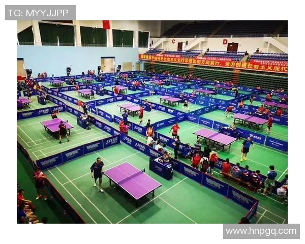 深圳乒乓球队状态对比深度解析及未来发展趋势展望 深圳乒乓球队状态对比深度解析及未来发展趋势展望